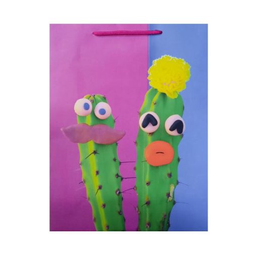 Ajándéktasak két kaktusz (25,5 x 33 x 10 cm)
